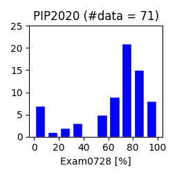 PIP2020-exam0728.png